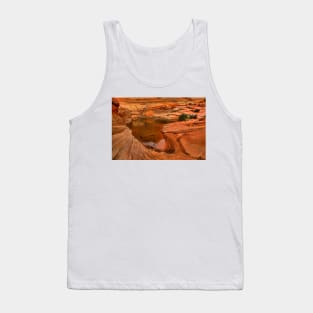 Northern Arizona Desert Oasis Tank Top